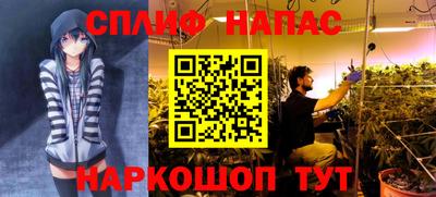 гидропоника Владивосток