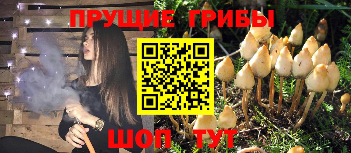 Галлюциногенные грибы MAGIC MUSHROOMS Элиста
