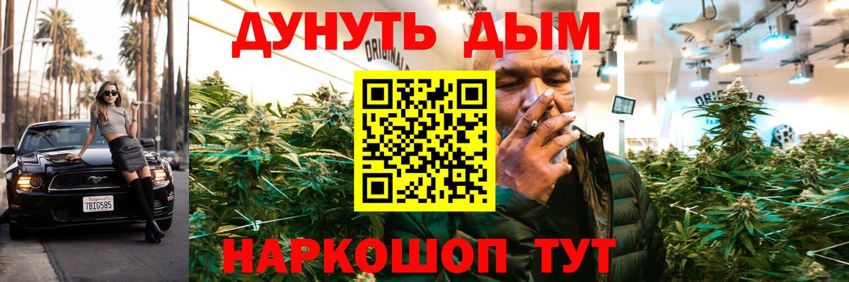 Элиста  МАРИХУАНА индика  Марихуана сатива  Вход с VPN  Конопля план 